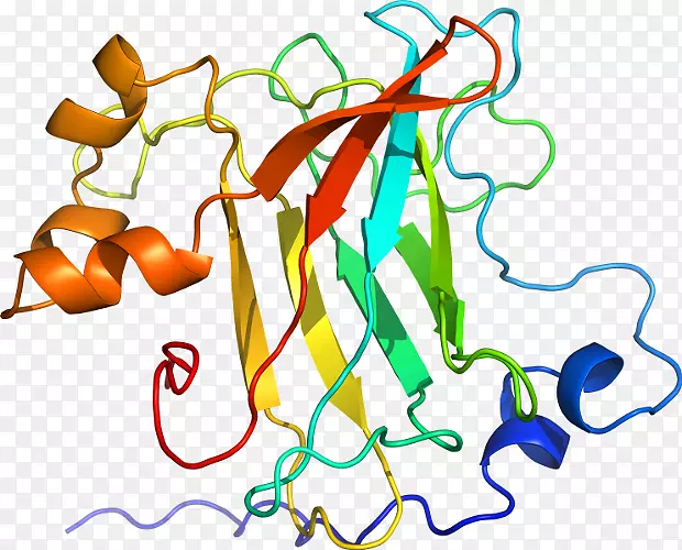 ������Ϊ�л����ߵ��������-������