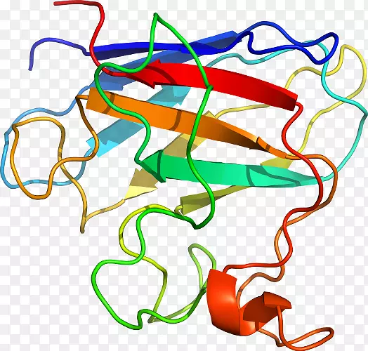 �ߵ������������-������