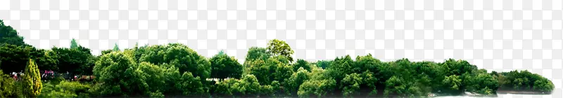 ���˻�վ�����������-������