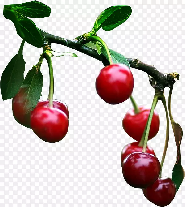 �������ӣ�ҹ�-������