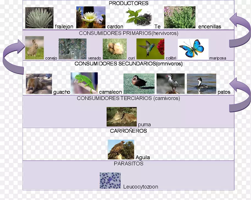 ��������-������