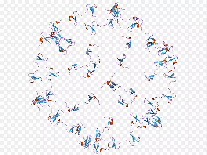 �ߵ����鱦������-������