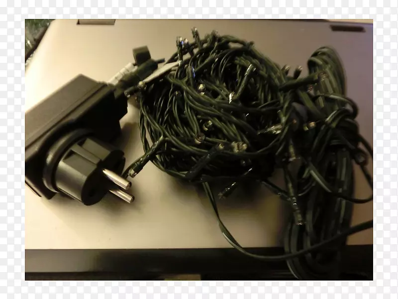 ����ѧ-Hutschenreuther-������