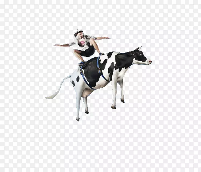 ţ�������ʦ-��ţ�������-������