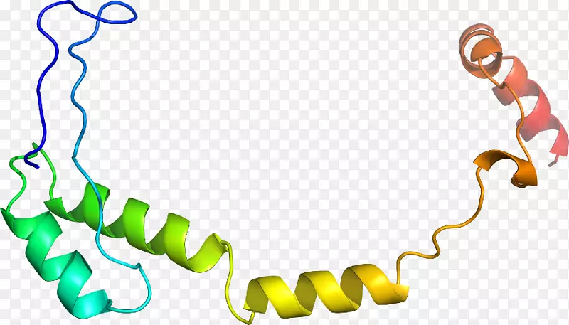 ���������л����߼�������-������