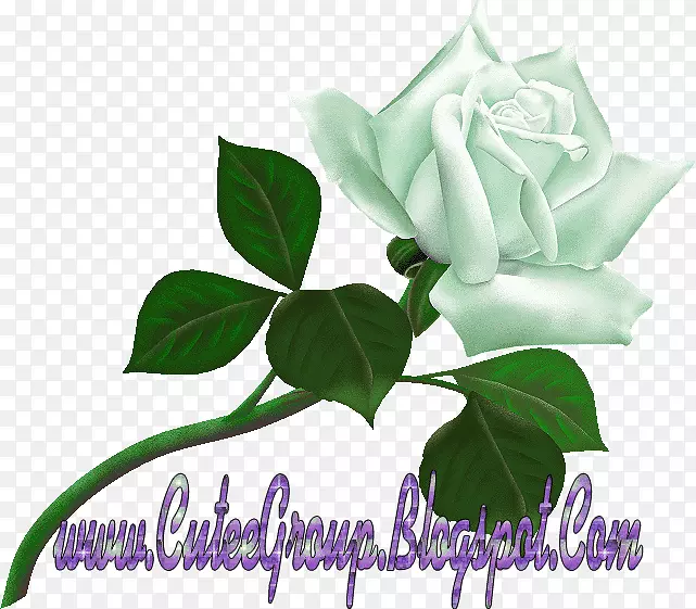 �����ֽõ��-������