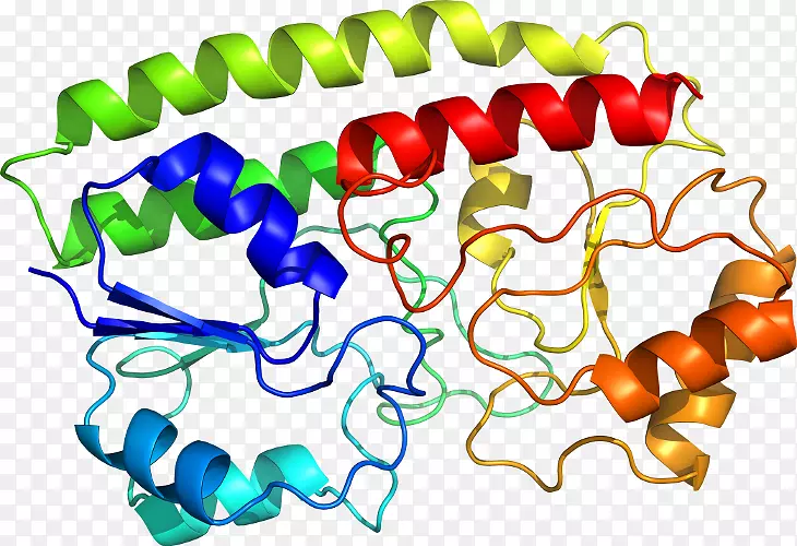 ���������л����߼�������-������