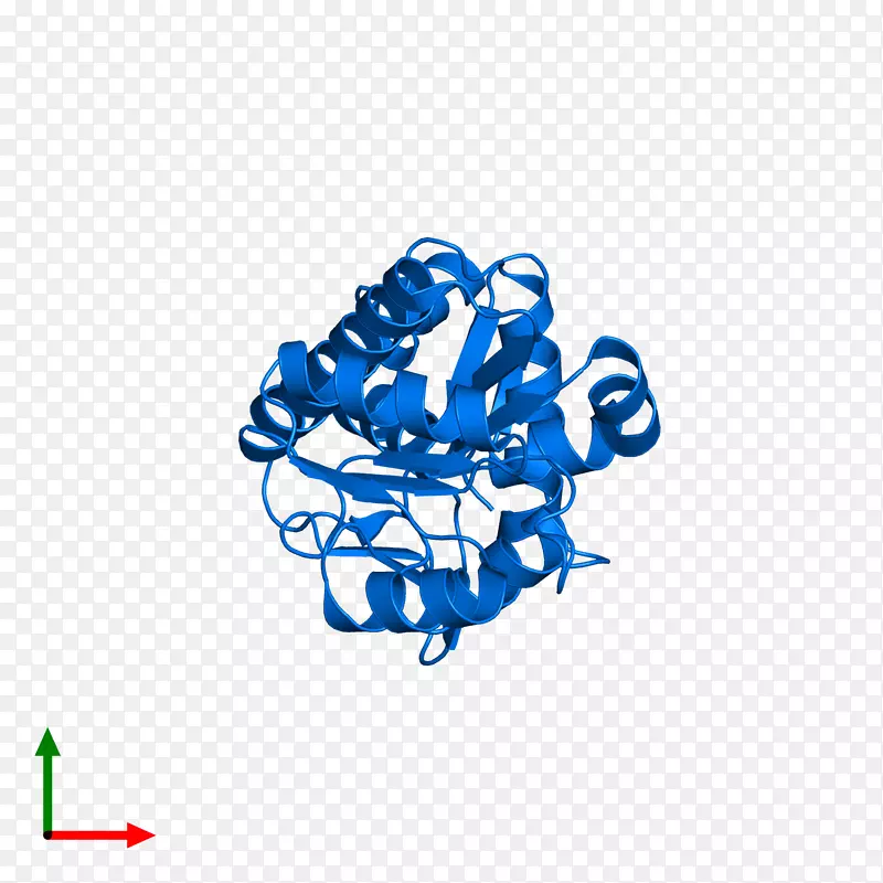 �̱��������-������