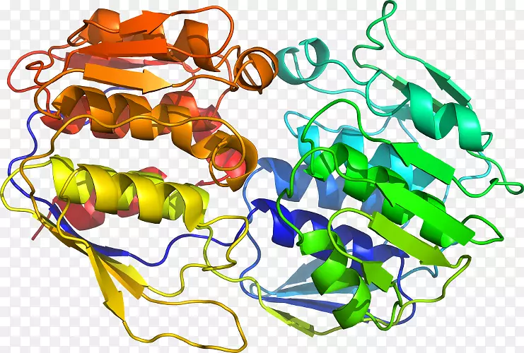 ���������л����߼�������-������