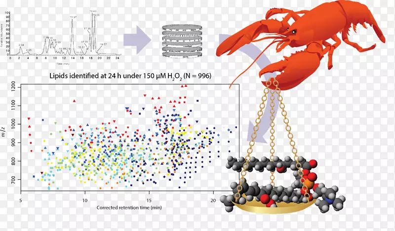 �ȱ�������Ϻ-������