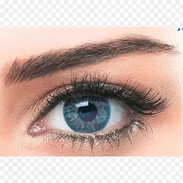 �����۾���ɫ��������������-������