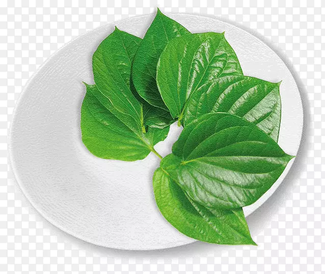 ���޲�Ҷ�߲����ƶ�Ҷ-������