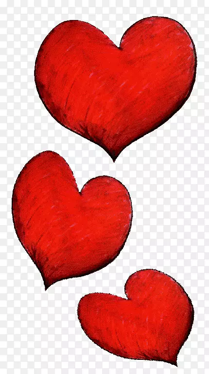 ���˽�-������-������