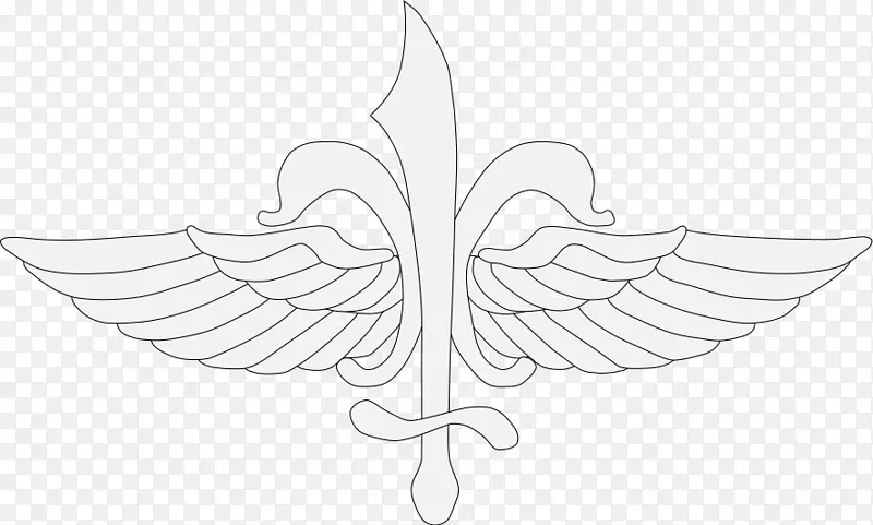 ����������ɫ�ԳƷ���ͼ��.����-������