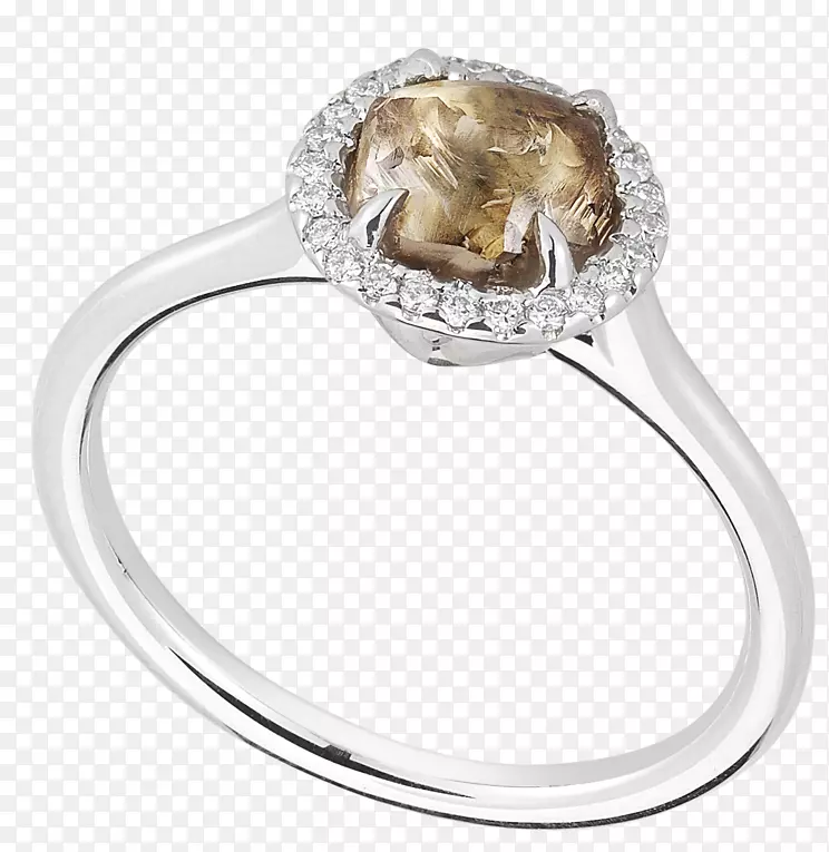 �鱦����.�鱦-������