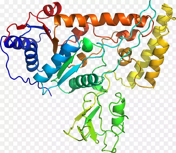 ����ƽ����Ƶ��������-������