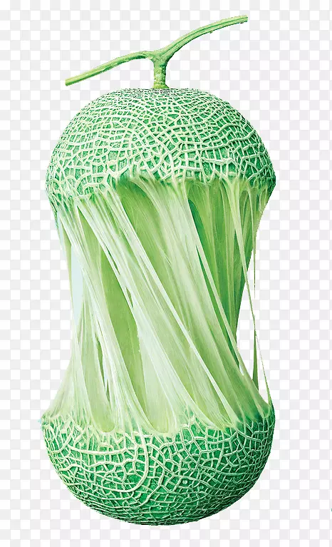 Ӫ���������ǡ���ʳ����������ʳƷ-�Ϲ�-������