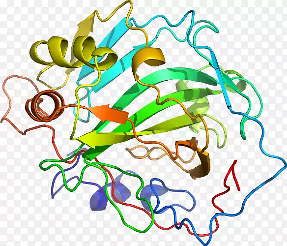 ֱ�ߵ�ֲ�ﾥ��������-������