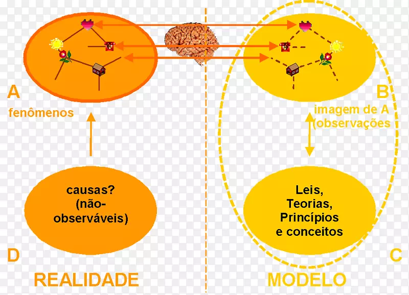 ֱ�ߵ����-������