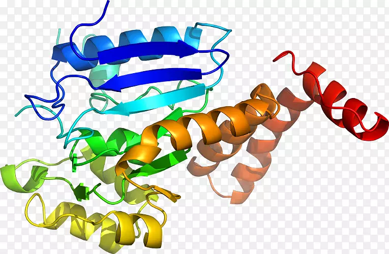 �л�����-������