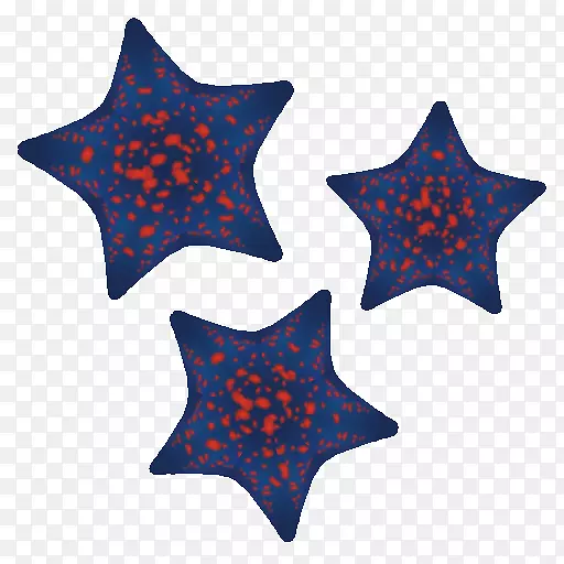 �����庣��-������