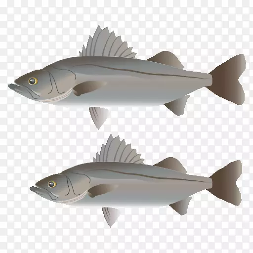 �������㰲���躣�����ﶯ��Ⱥ-���-������