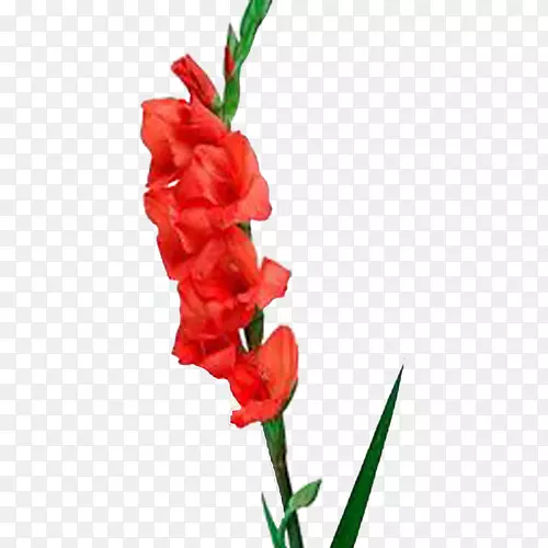 �����������л���������-������