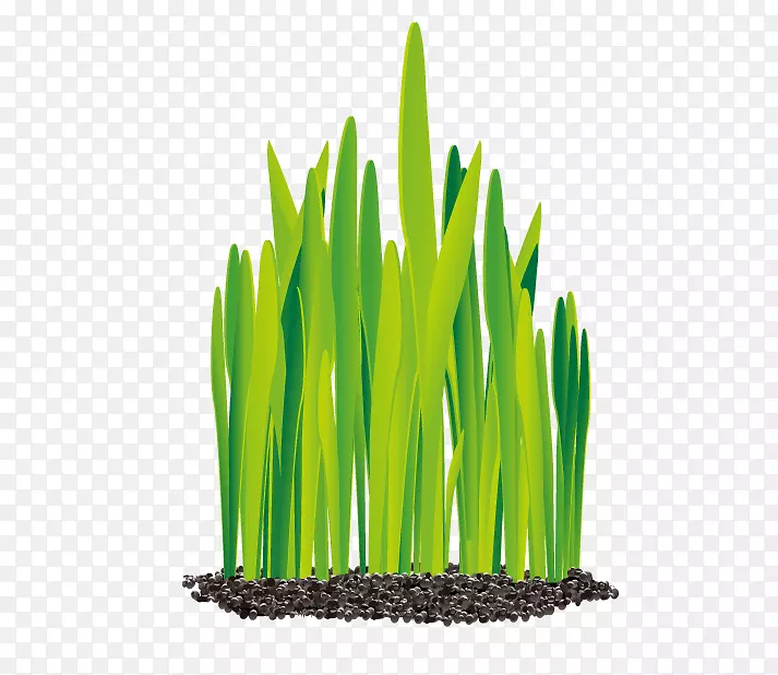 ŷʽ����ai����ͼ����ֲ����-������