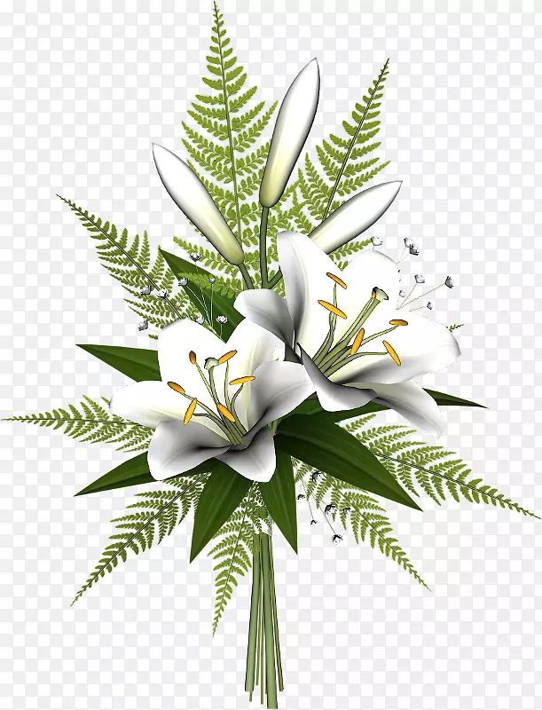 �ٺϲ��Ͳ廨����-��-������