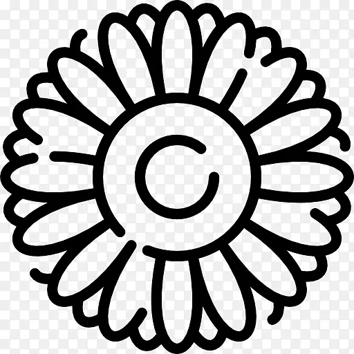 ��ɫ�����ѧ����.��ѧ-������