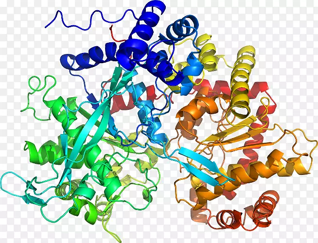 ���������л����߼�������-������