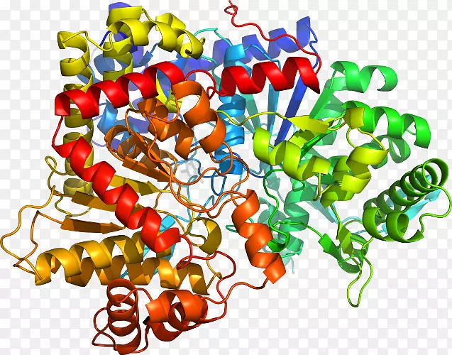 �߲���Ʒ-�߲�-������