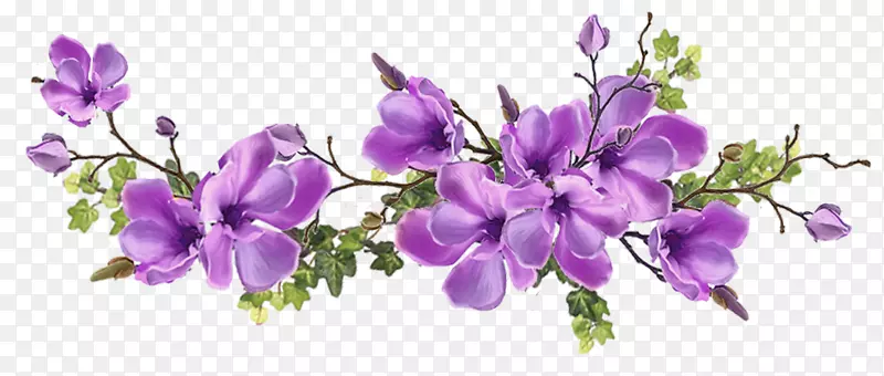 ���벩����ѧ��ʦ-��ѧ-������