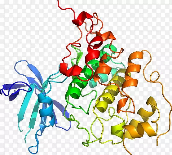 �޼�׵����ʳ���߼�������-������