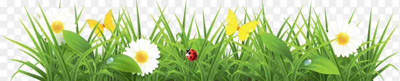 ����-������