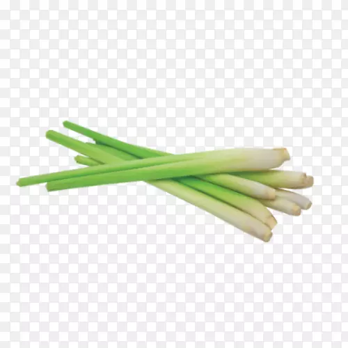 �����޹�²���-������