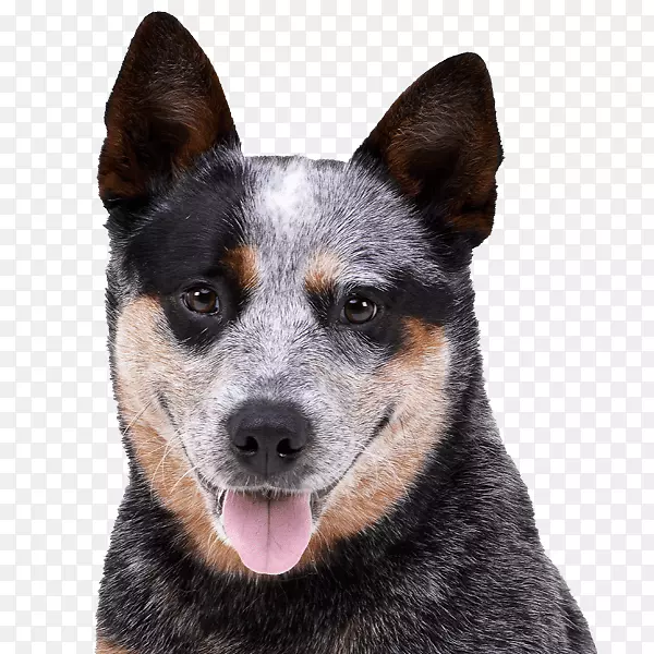 ��ķ����Ȯ����׳��β�ͣ�ţ�����Ĵ����ǿ���Ȯϡ��Ʒ��(��)-�豭Ȯ������Э��-������