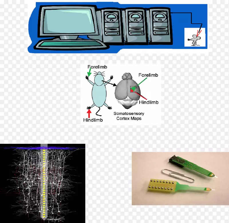 ���ݷ���matlab��ϵͳ�������������ݽṹ-������