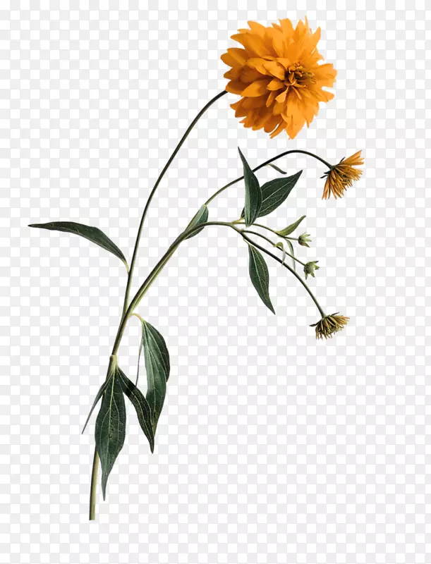 ����-������