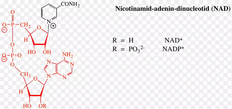 ���ļ������-������