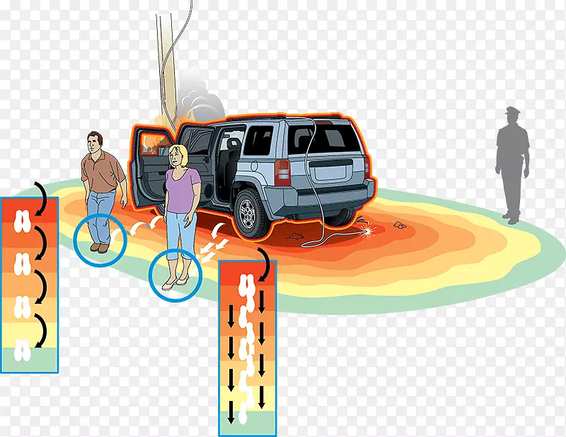 �����������-�����¹�-������