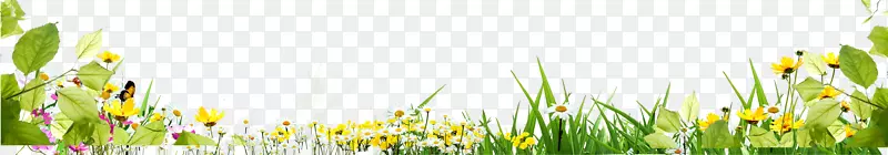 �ݴ��еĻ�-������