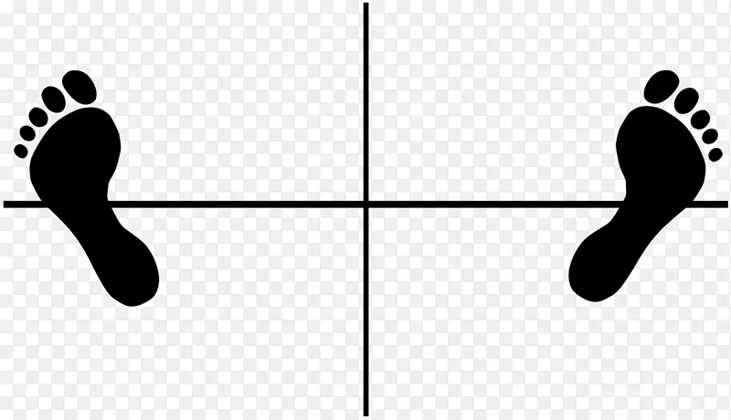 �������ո���ֽ-������