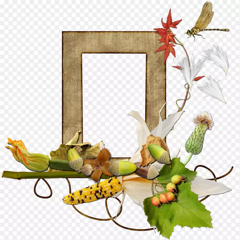 ������ƻ���Ҷ����ֲ��Ҷ-������