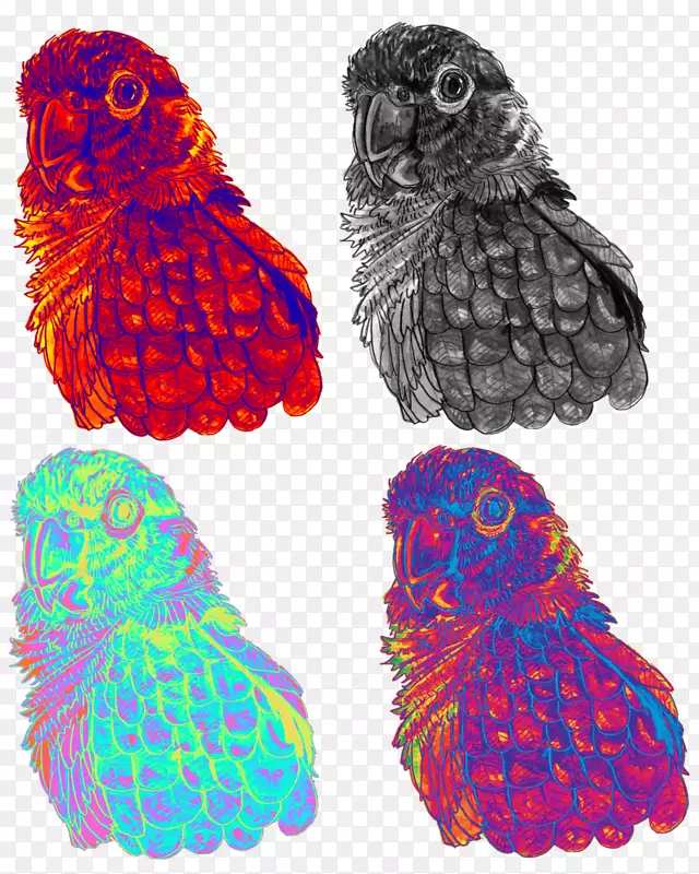 ���Ь����-��ë-������