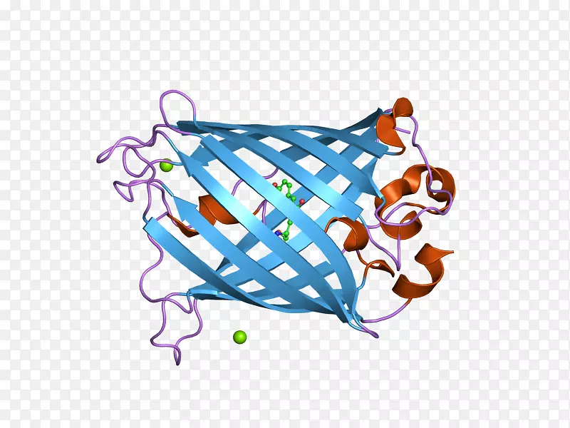 ˮĸǳ��ɫӫ�⵰��ӫ��-������