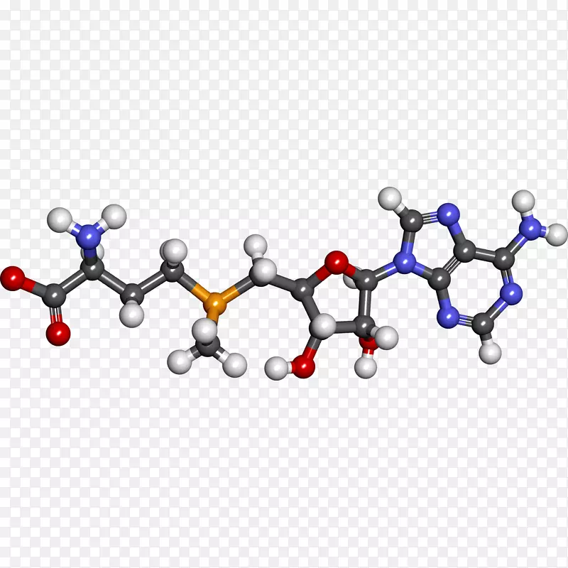 ��ʳ�����s-���ռ����ὡ�����װ��ὡ��-������