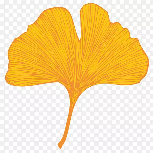 ����27�Ų˻����ֿ������ֲ���-Ҷ-������