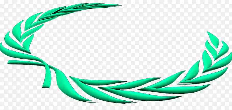 �����鱦ϵ�м�����-VIPͨ��֤-������