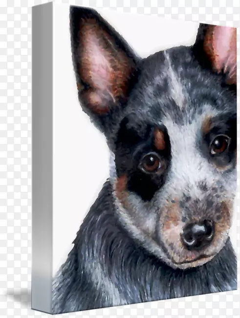 ���޺���Ȯ-����ţȮ-������